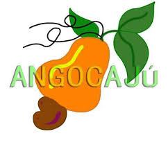 AngoCaju logo